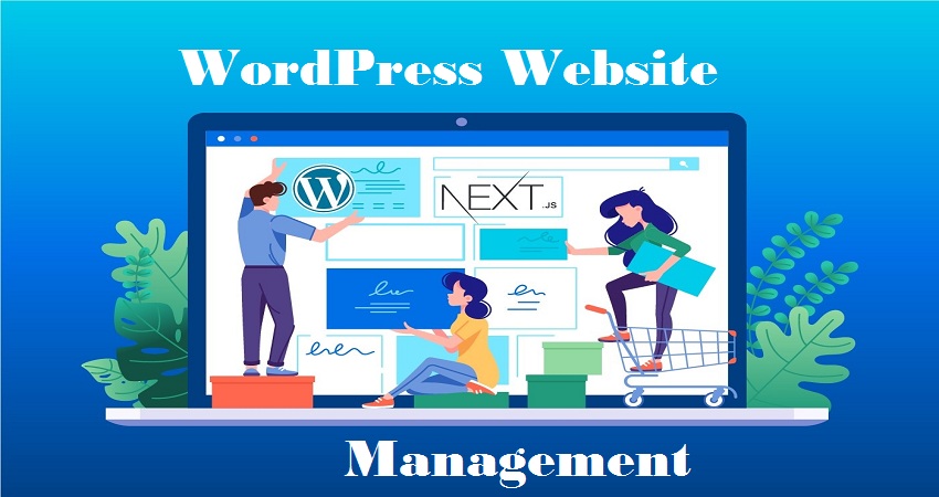WordPress Website Management