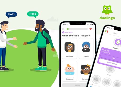 How to Create Language Learning App Like Duolingo in 2022